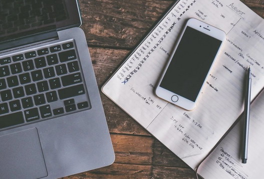 爱上海：A must-visit destination! Unveiling the city's pink ocean park in Shanghai, stunning scenery waiting for you to discover!