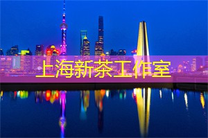 爱上海龙凤419：上海论坛告诉你：城市当代艺术的全球视野！