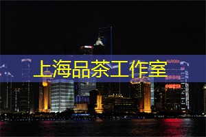 上海新茶工作室：上海旅拍热点，捕捉城市风景优美的瞬间