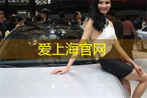 上海品茶网：深夜的音乐会与艺术聚集地